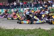 20110501_ales_agnus (3089)